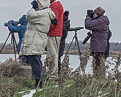Find new areas by joining a birding group offering guided hikes.