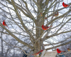 Photograph what interests you. Take lots, vary position.